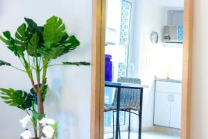 Modernísimo loft a pasos de la Alameda Central