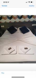 Hotels Theatre Hotel Chambery : photos des chambres