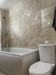 Central London Serviced Apartment near Borough station SE1