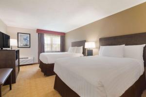 Executive Double Room with Two Double Beds - Non-Smoking room in Best Western University Inn