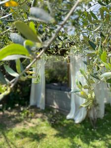 Sejours chez l'habitant Bastide Aina SPA et piscine : photos des chambres