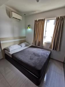 Dolphin Hotel