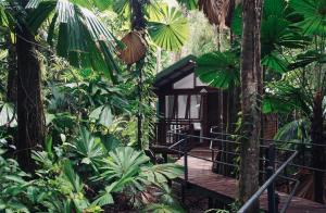 Daintree Wilderness Lodge