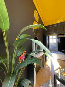 Appartements The Suites : photos des chambres
