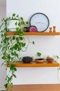 Spectacular Bilgola Beachhouse