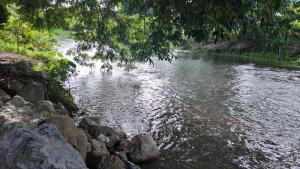 โคซี่ โฮมสเตย์