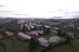 Sterling Ooty Fern Hill