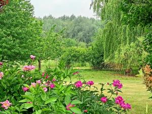 Maisons d'hotes Les chambres du Vert Galant Rez de jardin : photos des chambres