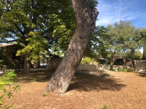 B&B / Chambres d'hotes Le Mas Justin : photos des chambres