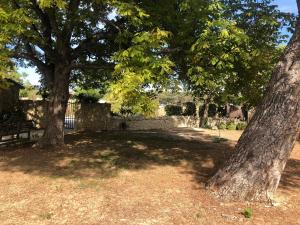 B&B / Chambres d'hotes Le Mas Justin : photos des chambres