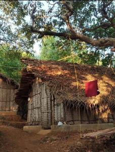 Bindhya Huts