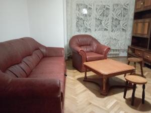 Apartament Băile Herculane cu vedere la munte