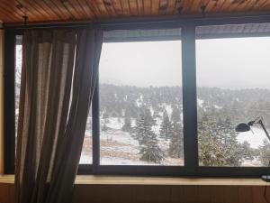 Maisons de vacances Bel appartement type chalet avec balneo et jardin : photos des chambres