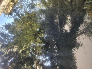 Sonnegg Guest Rooms Inh M Bisegger