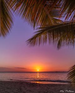 Résidence Villas Les Hibiscus