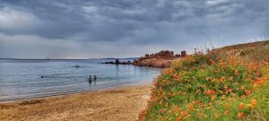 Concas Apartaments img20