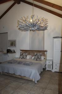 Kleinzee Oceanfront Whole House Self Catering