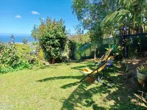 Les barbots - Le Ruisseau