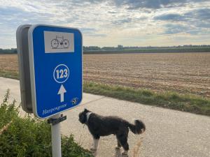 Route 123 Birchwood Pension