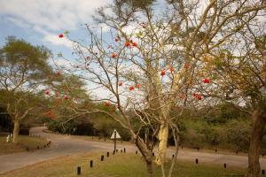 Sodwana Bay Lodge House 58