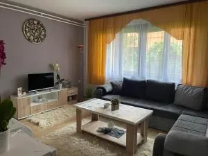 Stan na dan Goran Pale - Mokro