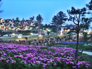 Jungmun Log Pension & Resort