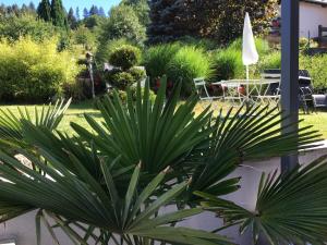 Appartements Les hortensias en Alsace - meuble de tourisme 3 etoiles : photos des chambres