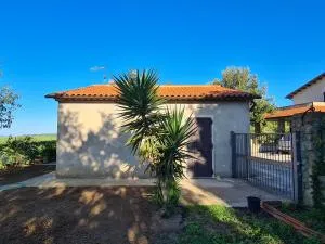 Casa Carpineta - Poggio Fuoco