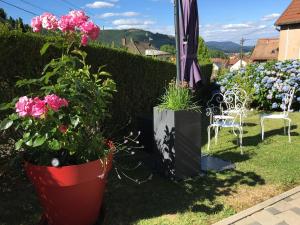 Appartements Les hortensias en Alsace - meuble de tourisme 3 etoiles : photos des chambres