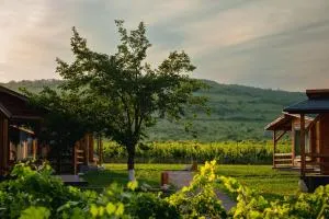 Shurra - 萨拉他蒙蒂鲁