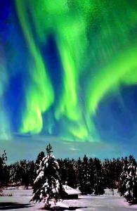 Northern Lights Lapland Villa