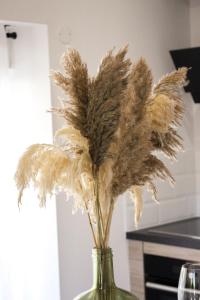 Appartement cosy & balnéo - Centre de Sarlat