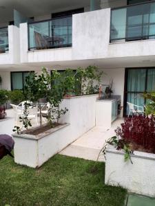 Porto de Galinhas no Laguna