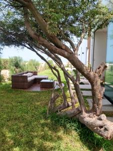 Bungalow VerdeMar con Jacuzzi Frente al Mar