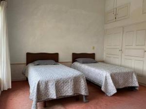 Relax and Enjoy Cuernavaca Pet Friendly