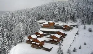 Xilino Horio - 珀托里恩