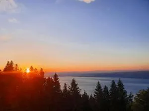 Chalet Chalon - Novel