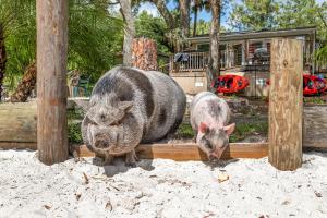 Family Forest Retreat, Paradise at Point Pleasant!