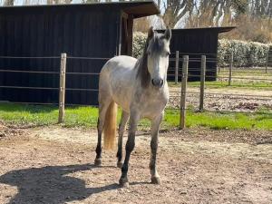 Chalets Bastidette Florestane : photos des chambres