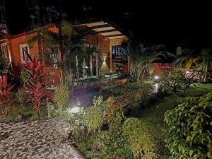 Vedana Retreat Arambol