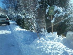 Chalet 3 étoiles avec sauna près de La Bresse - FR-1-589-18