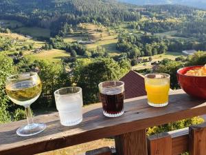 Chalet 3 étoiles avec sauna près de La Bresse - FR-1-589-18