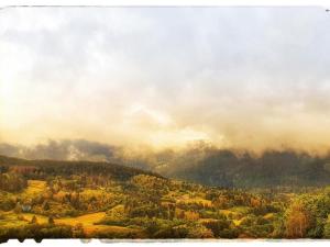 Chalet 3 étoiles avec sauna près de La Bresse - FR-1-589-18