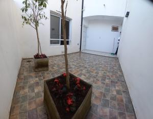 Alojamientos Litoral - 1 B