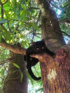 Acogedora vivienda anexa en un barrio tranquilo