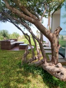 Bungalow VerdeMar con Jacuzzi Frente al Mar