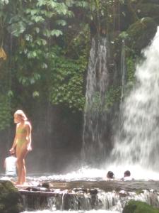 Bali mountain forest cabin