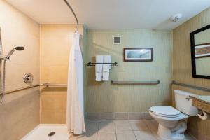 King Room - Mobility Access/Roll in Shower - Non-Smoking room in Crowne Plaza Hotel-Newark Airport an IHG Hotel