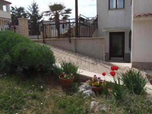 Apartments Ida, 100 m from the beach 