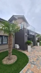 Leśne Niebo - 乔左维尔考普尔斯基